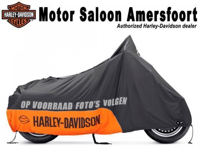 Harley-Davidson V-Rod VRSCF Muscle