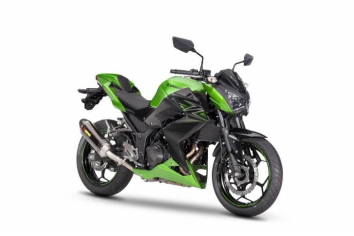 Kawasaki Z300ABS Performance (bj 2017)