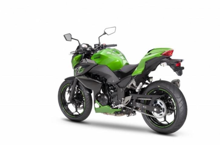 Kawasaki Z300ABS Performance (bj 2017)