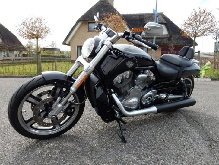 Harley-Davidson Muscle vrscf (bj 2012)