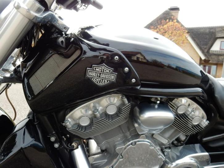 Harley-Davidson Muscle vrscf (bj 2012)