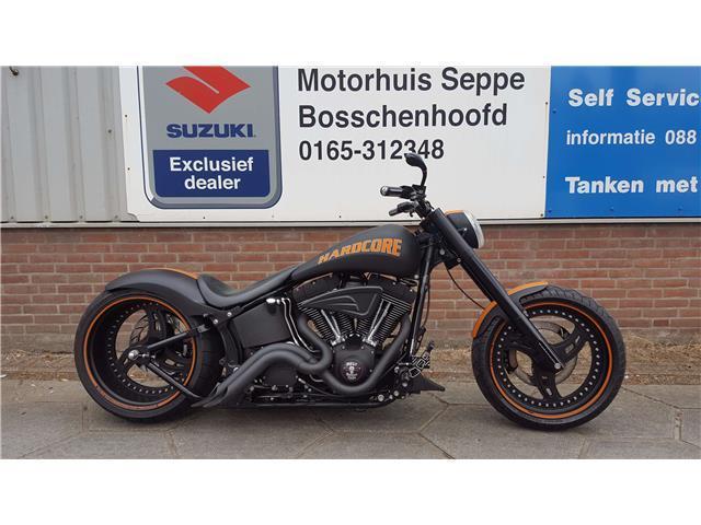 Harley-Davidson Custom Bike Walz
