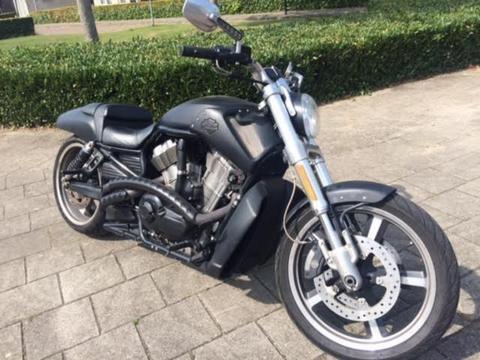 Harley-Davidson V-Rod VRSCF MUSCLE