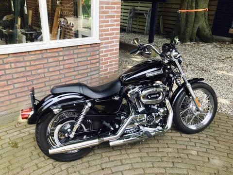 Harley Davidson XL 1200 Sportster