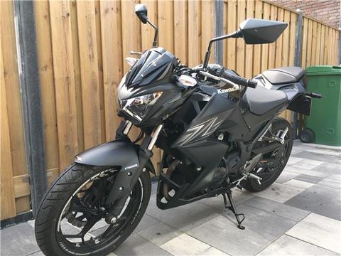 Kawasaki Z 300 ABS PERFORMANCE