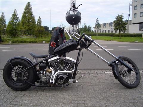 Harley-Davidson Others custom