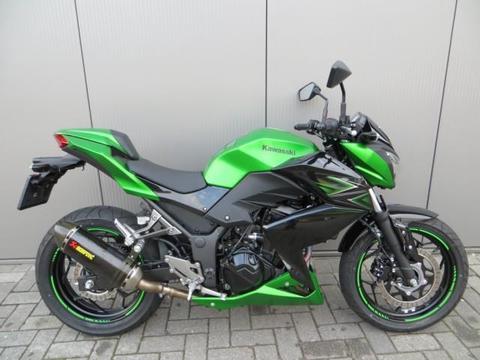 Kawasaki Z 300 Performance