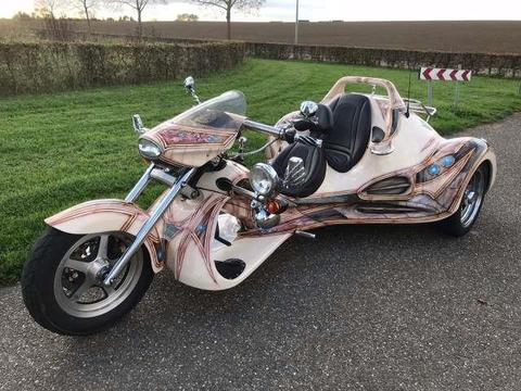 Others Renault Startrike