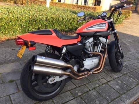 Harley-Davidson Sportster XR 1200