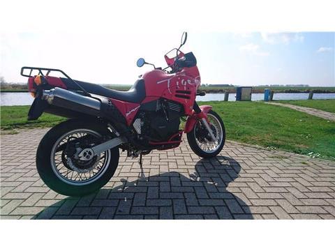 Triumph Tiger 900