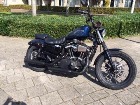 Harley-Davidson Sportster XL 883 IRON N