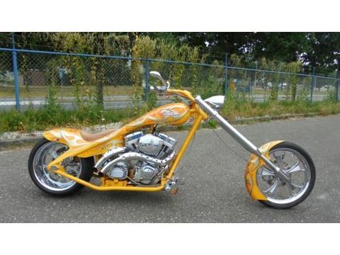 Harley-Davidson Custom Bike Swingarm