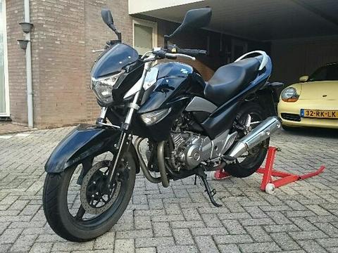 Suzuki Inazuma 250 (met opberghoes)