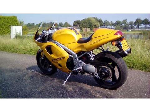 Triumph Daytona T 595