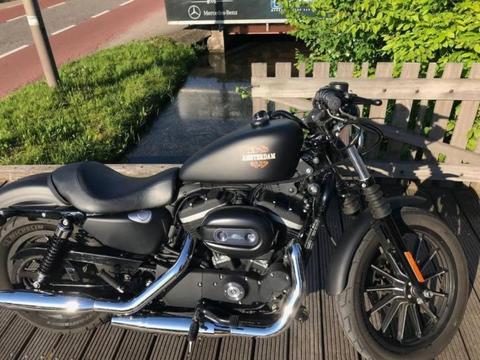 Unieke Harley Davidson sportster 883 iron 2013